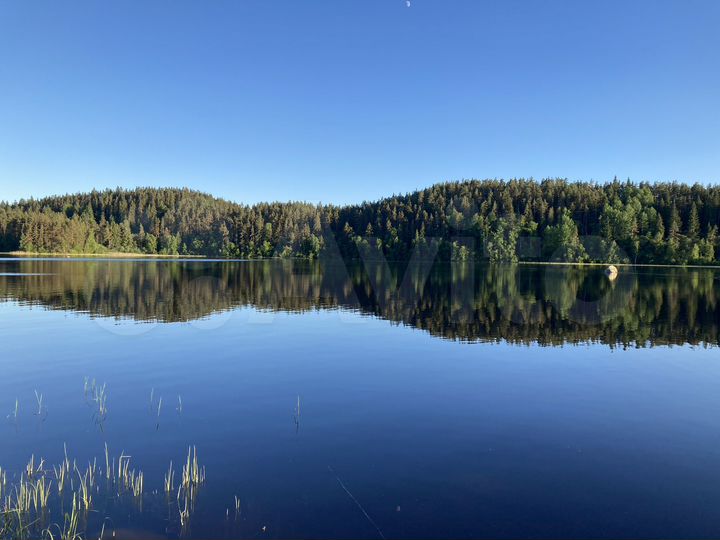 Участок 38 сот. (ИЖС)