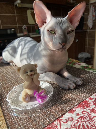 Канадский сфинкс вязка