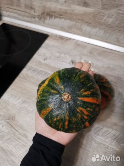 Тыква декоративная