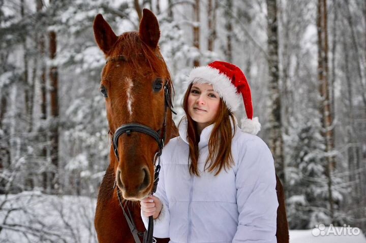 Катание на лошади,конные прогулки