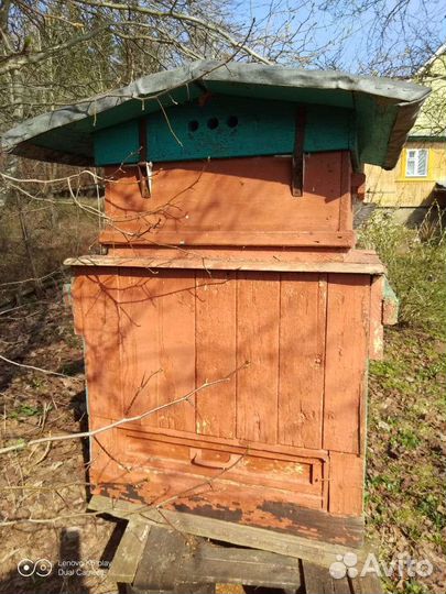 Ульи для пчел