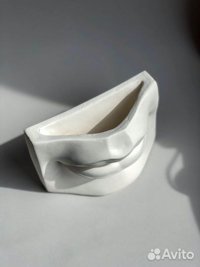 Органайзер Губы Давида