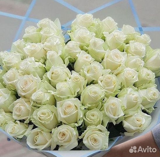 Розы Букеты Цветы Розы 31 101 151 201 Доставка