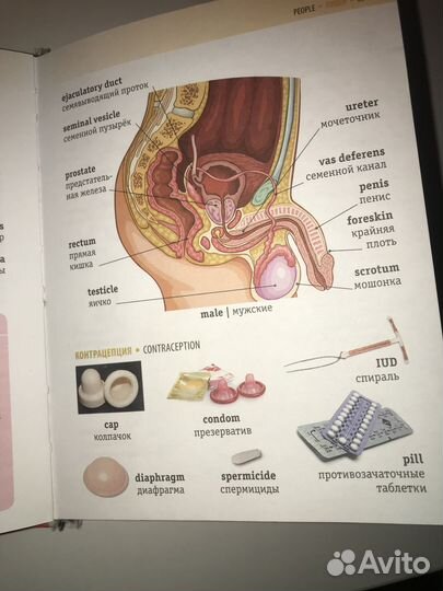 Визуальный англо-русский словарь.Издательство аст