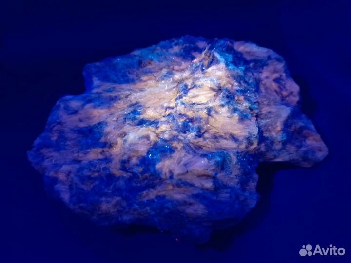 Солнышки Пектолита