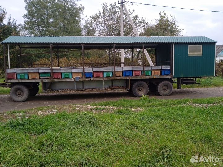 Продается пасека