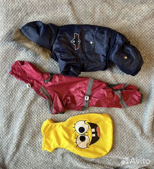 Одежда для собак мелких пород