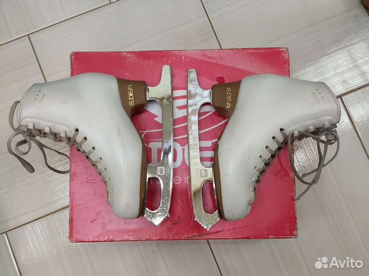 Коньки edea chorus