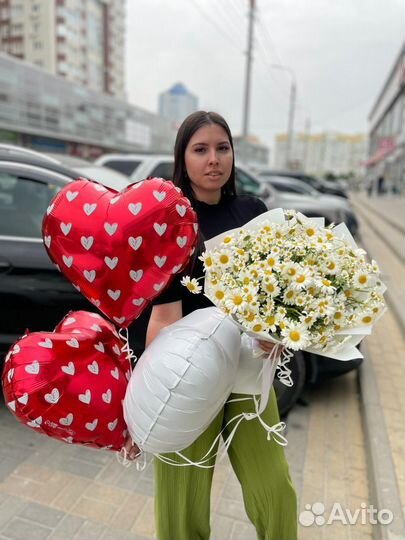 Полевые цветы ромашки