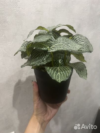 Цветок искусственный в горшке икеа