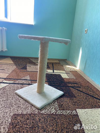 Когтеточка для кошек