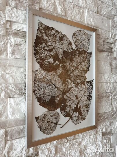 Картина гербарий