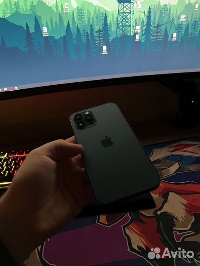 iPhone 12 Pro Max, 256 ГБ