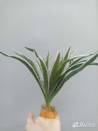 Товары для рептилий