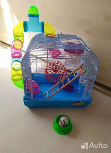 Джунгарский хомяк, клетка