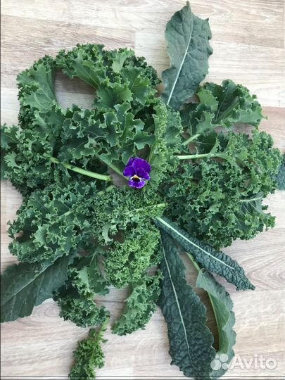 Капуста кейл для веганов, сыроедов, спортсменов и