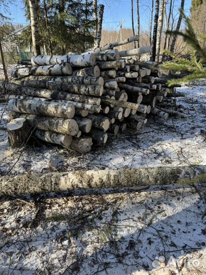 Дрова березовые