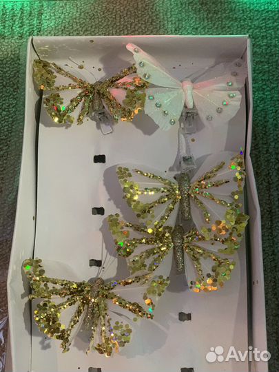 Флористика бабочки