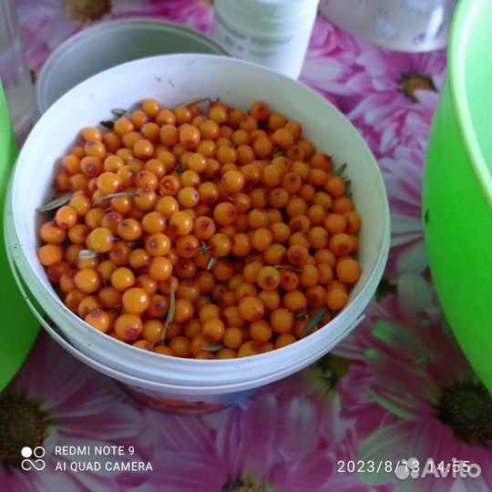 Облепиха свежая.230р литр в наличии и под заказ