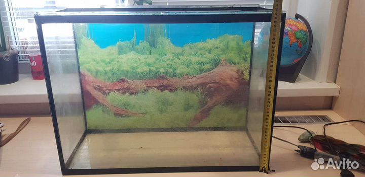 Аквариум