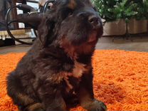 12ркф, решетка вентиляционная круглая d165 вытяжная абс с фланцем d120. Ркф 12. Ркф 12. Решётка era 12ркф 165x165 мм. Ркф 12.