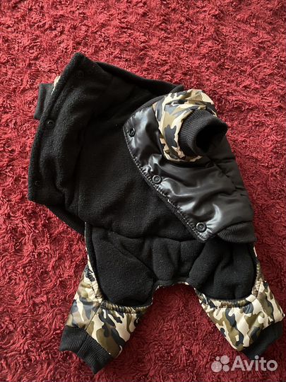 Одежда для собак