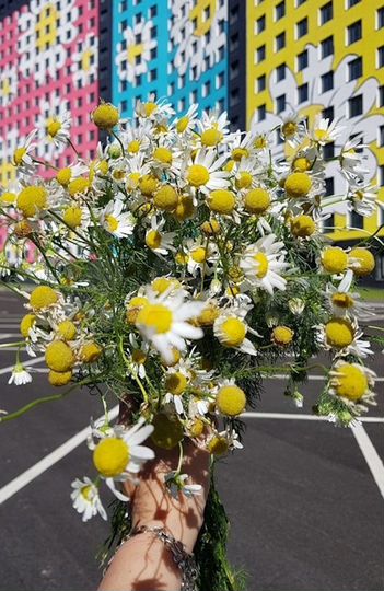 Квартира-студия, 23,5 м², 6/18 эт.