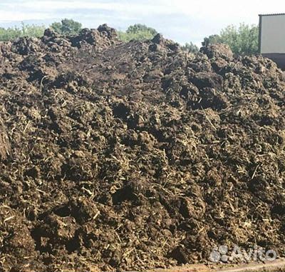 Навоз коровий