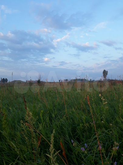 Участок 6,6 сот. (СНТ, ДНП)