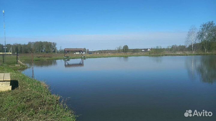 Платная рыбалка