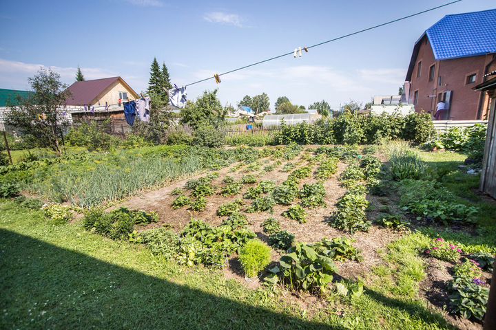 Дом 49 м² на участке 6 сот.