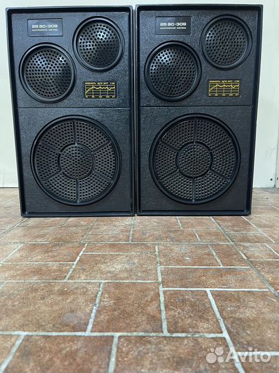 Колонки электроника 25ас-309