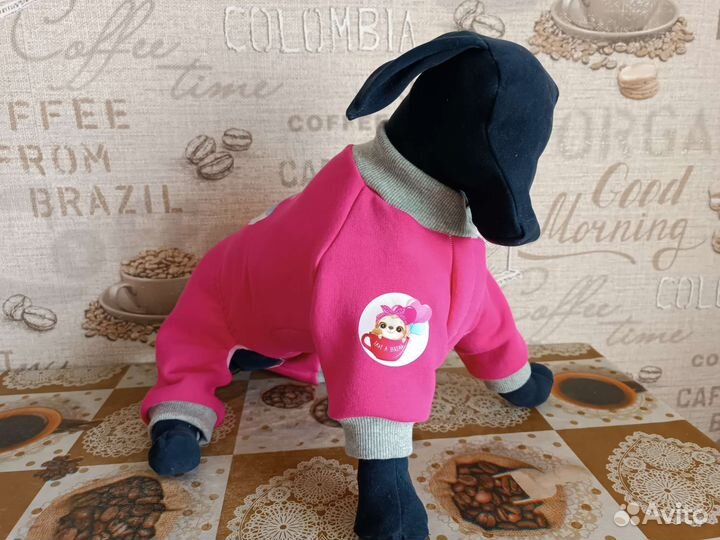 Одежда для собак