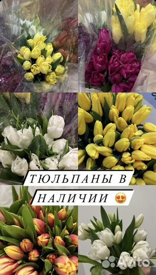 Тюльпаны к 8 марта