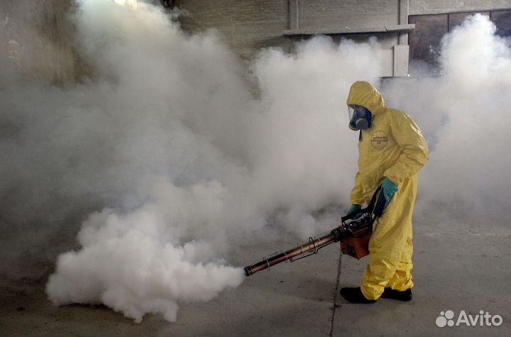 Сэс.Уничтожение мышей,крыс.Дератизация