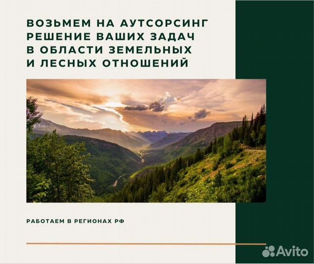 Земельные и лесные отношения