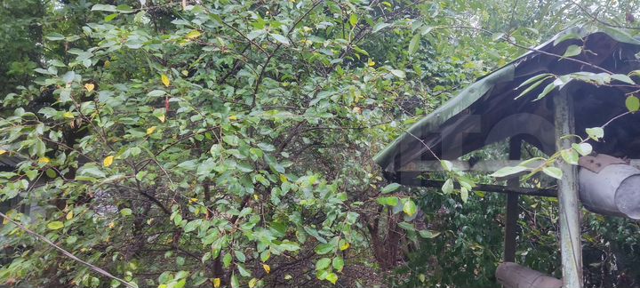 Дом 63 м² на участке 5,5 сот.