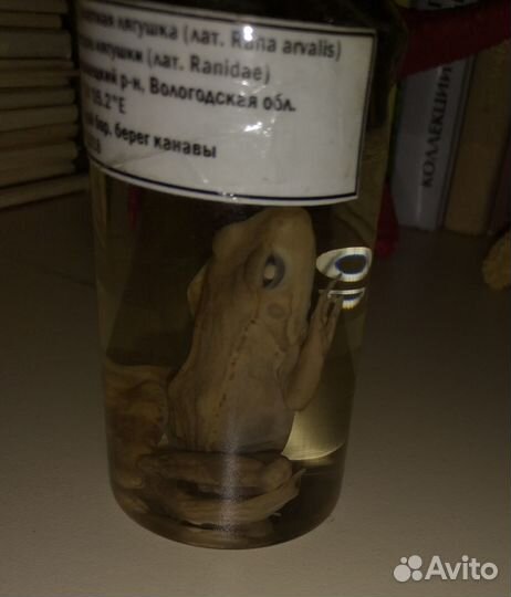 Учебное пособие 