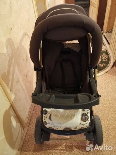 Коляска adamex young