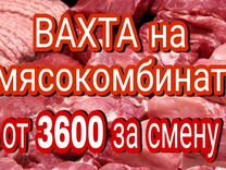 Сотрудник мясокомбината Краснодарский край
