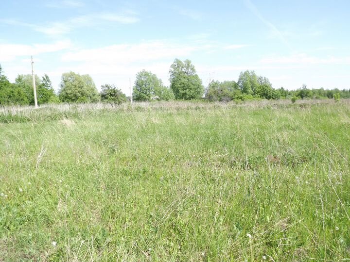 Участок 25 сот. (ИЖС)