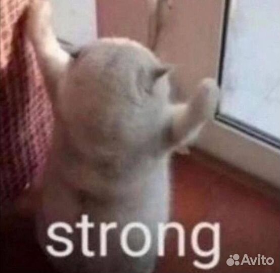 Бит на заказ