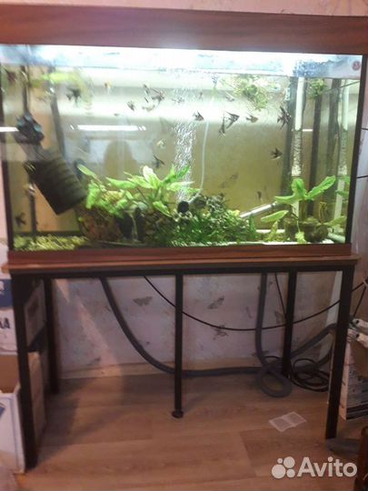 Товары для животных