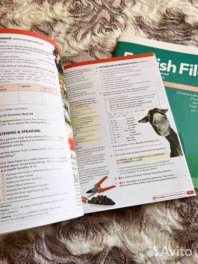 English file 4th edition Advanced sb+wb+cd