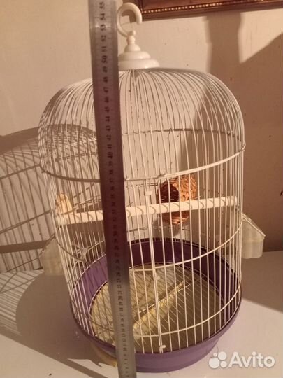 Клетка для попугая