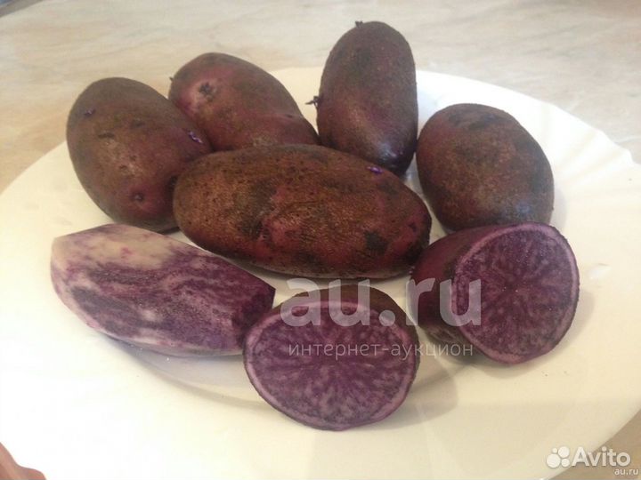 Картофель семенной Французский трюфель