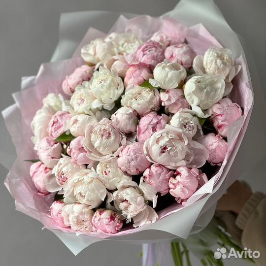 Монобукет Пион Сара Бернар (Sarah Bernhardt)