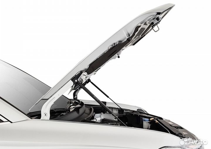 Газовые упоры капота Rival Volkswagen Taos 2021