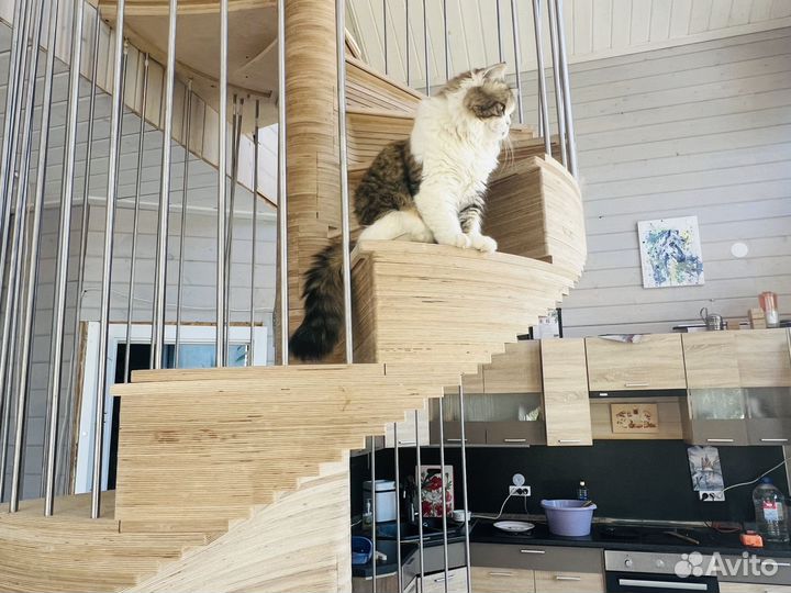 Лестница угловая, под ключ