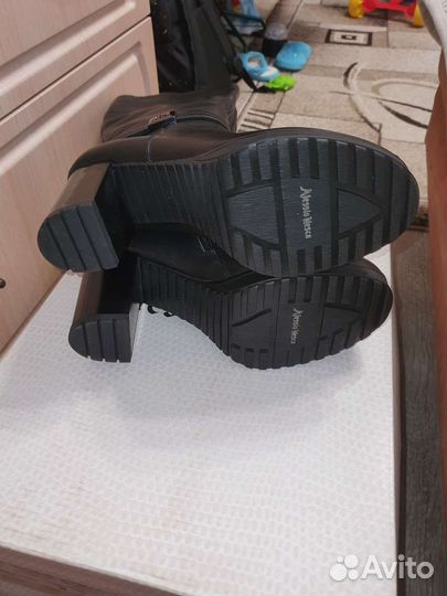 Сапоги демисезонные